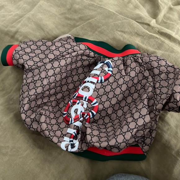 gucci supreme dog jacket xs - Picture 1 of 3